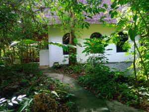 Kims Garden