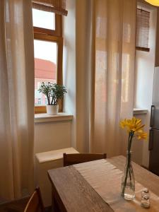 Apartmán Pod Valdickou bránou