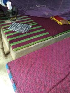 Bindhya Huts