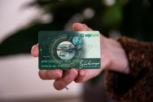 Family Wellness Apartman