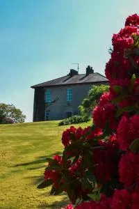 Willowbank House & Farm - 卡斯尔布莱尼