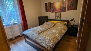 Dom letniskowy Sami Swoi