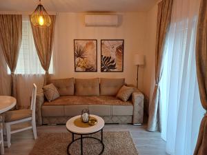 Apartman Silver Lux Srebrno jezero