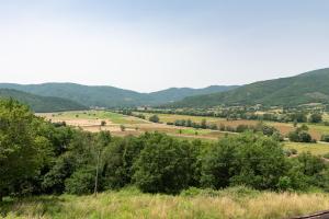 Appartamento Superior con 3 Camere da Letto
