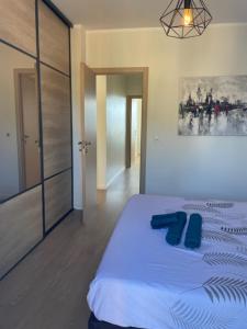 Appartements Superbe appartement en centre ville : photos des chambres