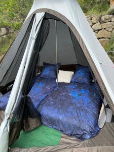 Tentes de luxe Tipi sous les etoiles avec petit dejeuner : Tente