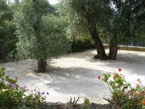 Bozikis Apartments & Studios Corfu Greece