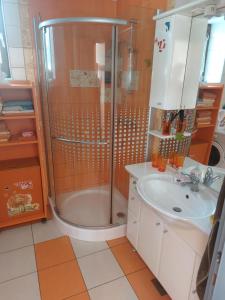 Apartma Vida 