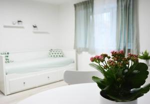 Apartmán Květinový Dům