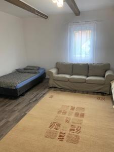 Apartament de inchiriat în localitatea Dănești