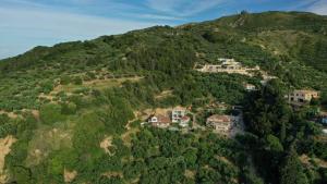 Baso Hilltop Apartments