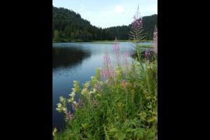 Maisons de vacances Chalet Les 2 Bouleaux a 2 pas de GERARDMER et des lacs : photos des chambres