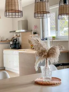 Maison Privilège Nature à La Petite Pierre - Frohmuhl