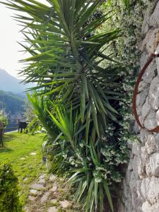 Agriturismo Orrido di Pino