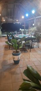 Elegant Green Beach Resort