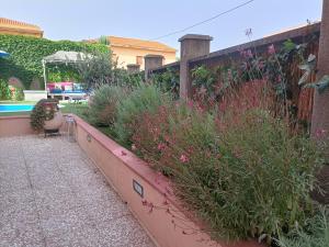 Maison Belle Époque & suites img19