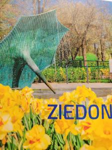 Luks - 3hvězdičkové hotely ve městě Ventspils