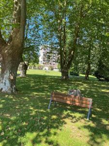 Superbe T3 lumineux sur parc arboré avec piscine