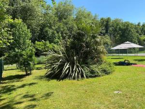 Appartements Superbe T3 lumineux sur parc arbore avec piscine : Appartement 2 Chambres