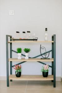 Deluxe Boutique Apartment