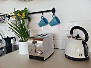 Yellow Peaked Shoe Apartment