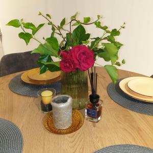 STUNNING VIEW APARTMENT NEAR FERRY TO SMILTYNĖ