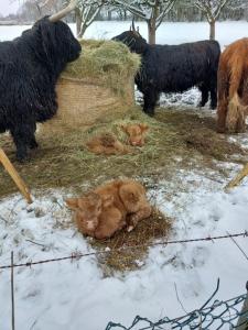 Auszeit auf dem KulturGut Hirtscheid