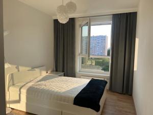 Apartament Kompozytorów Polskich z siłownią