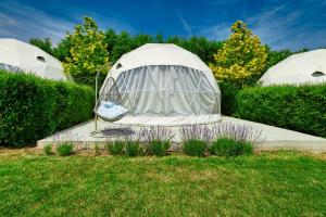 Seagloo Glamping - Adults Only