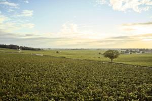 Hotels COMO Le Montrachet : photos des chambres