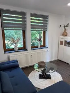 Zentrale Ferienwohnung - Wutha-Farnroda