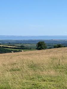 Tal-y-fan farm 6m stargazer tent