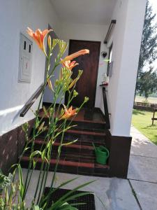 Holiday Home Nada i Milan