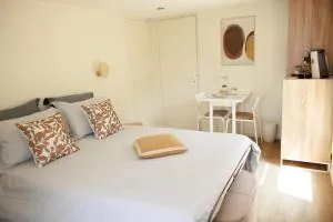 Pierre de Lune - Sully