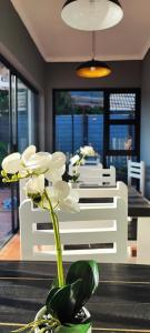 S & S Village Guest House