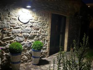 Dotty’s house