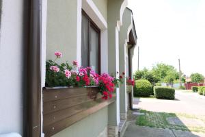 Orosz Apartmanház Gyula