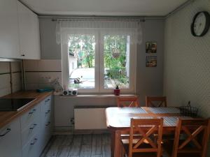 Apartament Kot i Pies