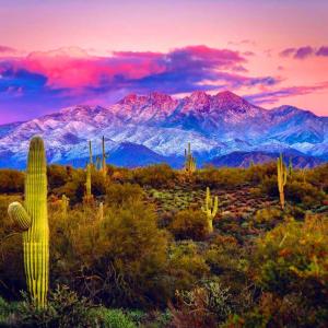 Rio Rancho Verde Two Bedroom Suite