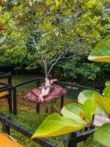 Glamping Río Claro - Los Arrayanes