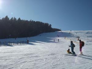 Chalets Gite Le Chalet SaintAntheme / Praboure : photos des chambres