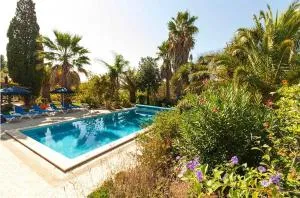 Quinta das Achadas - Mimosa - Arão