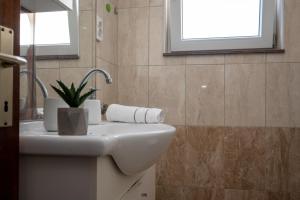 Apartments with parking space Povljana, Pag - 6298