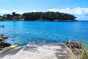 Apartments by the sea Prizba, Korcula - 14385