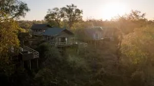 Nkuhlu Tented Camp - Coquiça