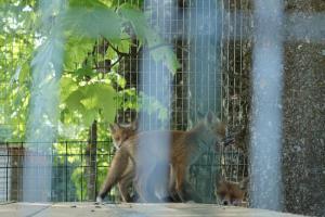 На березі річки