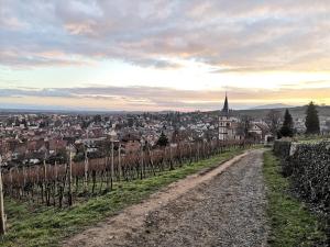 Appartements Zum Storike Nescht : photos des chambres