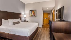 Queen Room - Non-Smoking room in Best Western Inn Florence