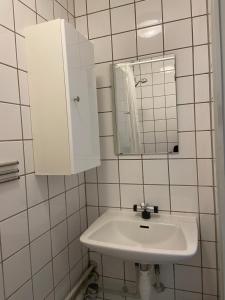 Nørrebro Apartments 542