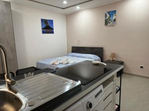 Domus Velata Celeste